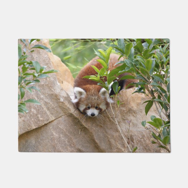 Doormat Photo red panda , animals 0233. (Front)