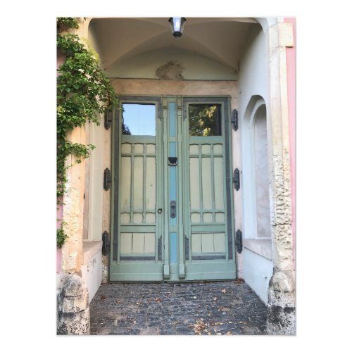 Doors at Pchau Castle in Machern Germany Photo Print
