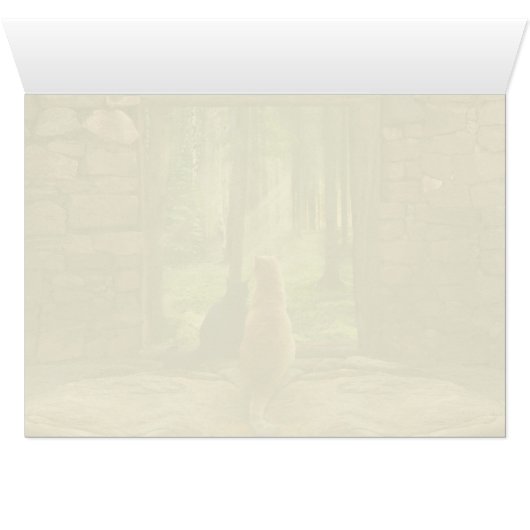 Doorway into Forever (Inside Horizontal (Bottom))