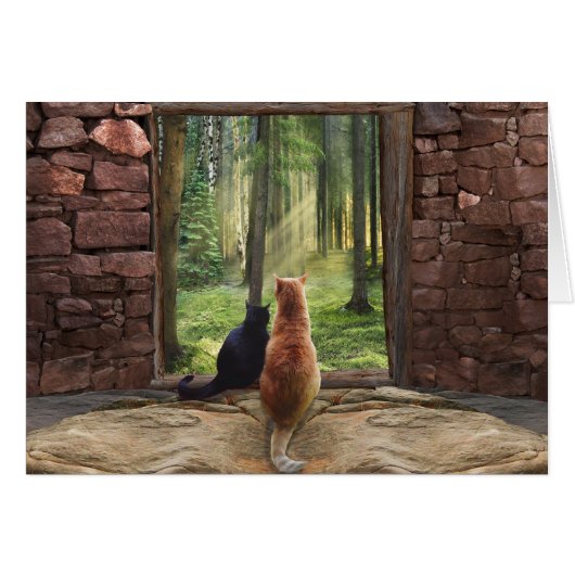 Doorway into Forever Cards (Front Horizontal)