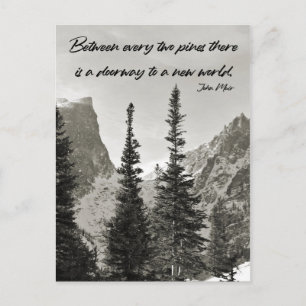 Doorway to a New World in the Mountains Postcard