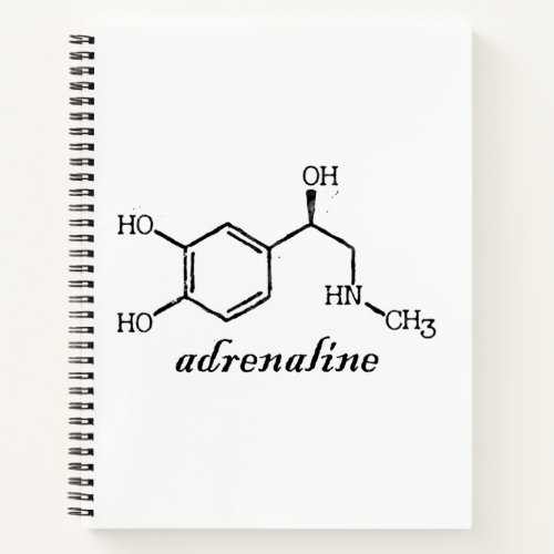 dopamine notebook