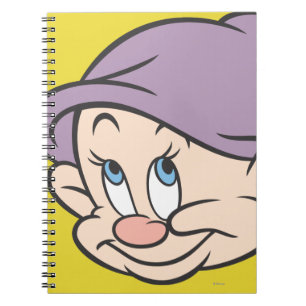 Dopey 2 notebook