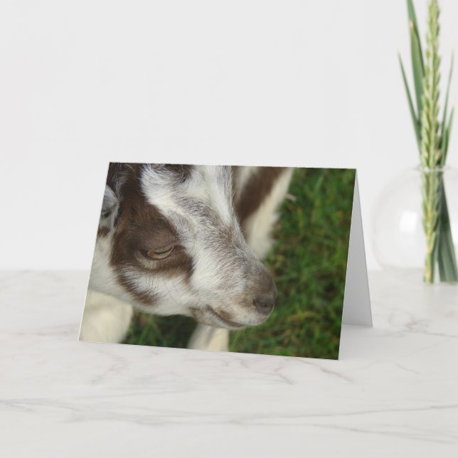 Dopey Card (Front)