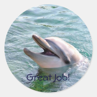 Dophin School Binder Teacher Reward Sticker