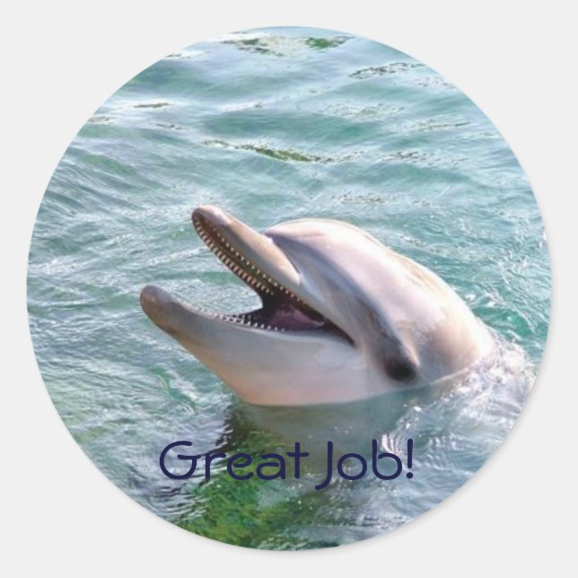 Dophin School Binder Teacher Reward Sticker (Front)
