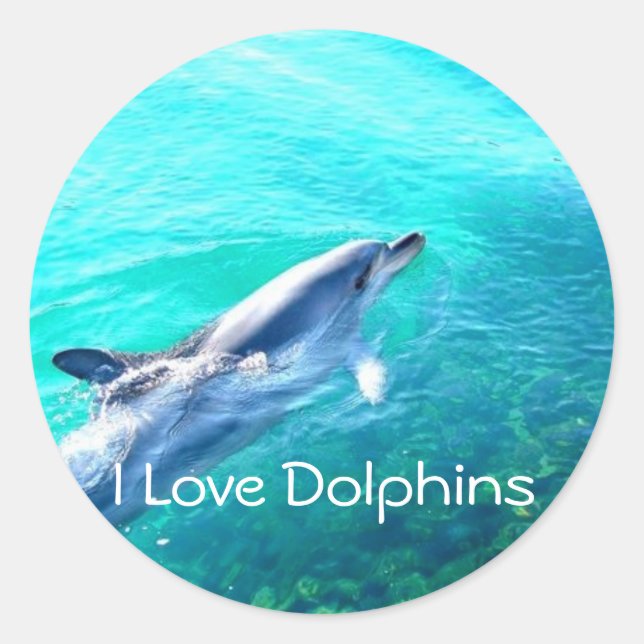 Dophin School Binder Teacher Reward Sticker (Front)
