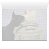 Dora - the Cream of the Crop (Inside Horizontal (Bottom))