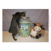 Dora - the Cream of the Crop (Front Horizontal)