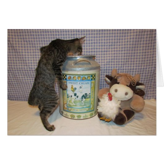 Dora - the Cream of the Crop (Front Horizontal)