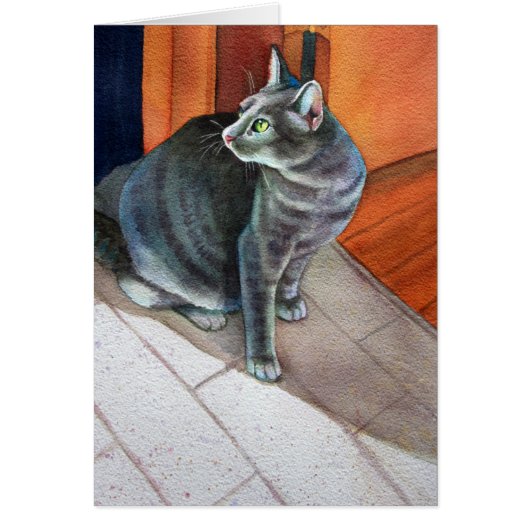 Dora, the Grey Tabby Cat, Cards (Front)