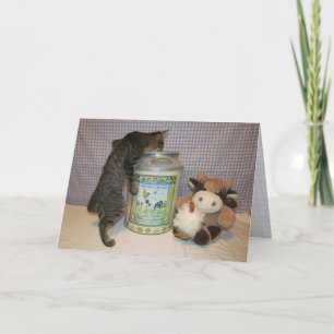 Dora's Birthday Party - Cat / Kitten Birthday Card