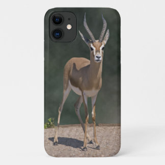 Dorcas Gazelle iPhone 11 Case