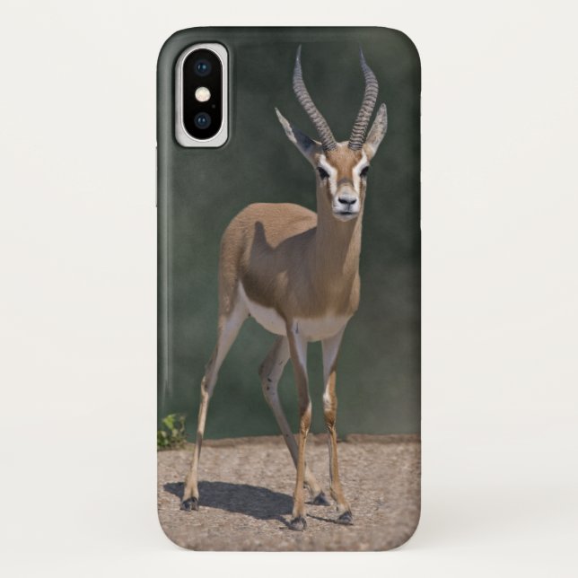 Dorcas Gazelle iPhone X Case (Back)