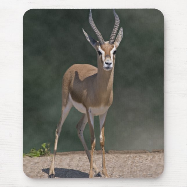 Dorcas Gazelle Mousemat Mouse Pad (Front)