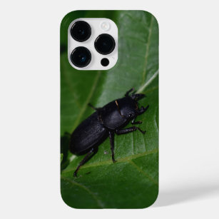 Dorcus parallelipipedus , the lesser stag beetle Case-Mate iPhone 14 pro case