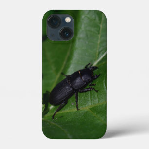 Dorcus parallelipipedus , the lesser stag beetle iPhone 13 mini case