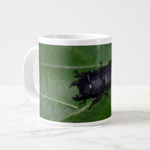 Dorcus parallelipipedus , the lesser stag beetle giant coffee mug