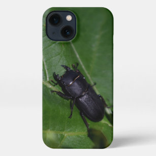 Dorcus parallelipipedus , the lesser stag beetle iPhone 13 case