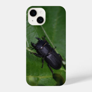 Dorcus parallelipipedus , the lesser stag beetle iPhone 14 case