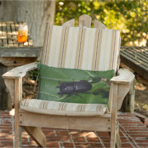 Dorcus parallelipipedus , the lesser stag beetle lumbar pillow