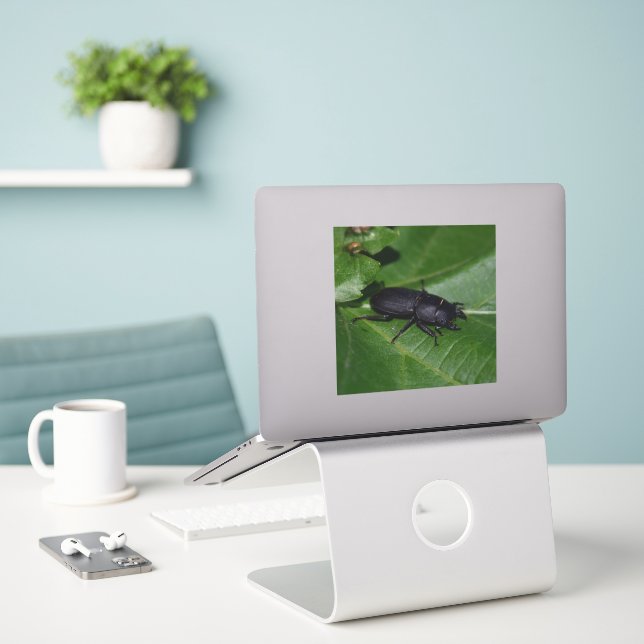 Dorcus parallelipipedus , the lesser stag beetle sticker (Laptop On Desk)