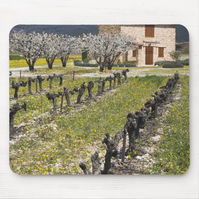 Dormant vineyard, fruit blossoms, stone house, mouse pad (Front)