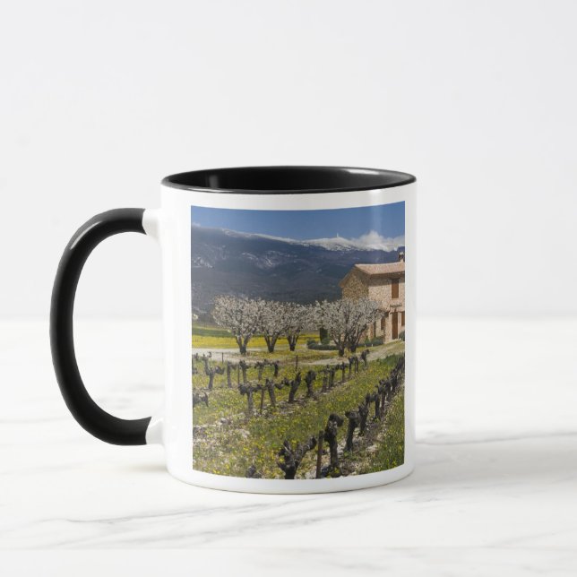 Dormant vineyard, fruit blossoms, stone house, mug (Left)
