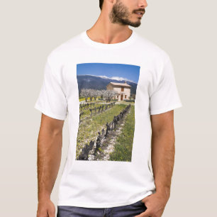 Dormant vineyard, fruit blossoms, stone house, T-Shirt