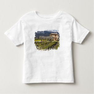 Dormant vineyard, fruit blossoms, stone house, toddler t-shirt