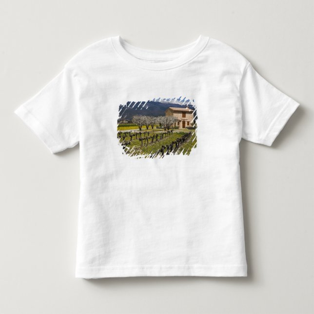 Dormant vineyard, fruit blossoms, stone house, toddler t-shirt (Front)