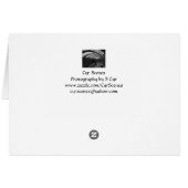 D'Orsay Arch BW, S Cyr Cards (Back Horizontal)