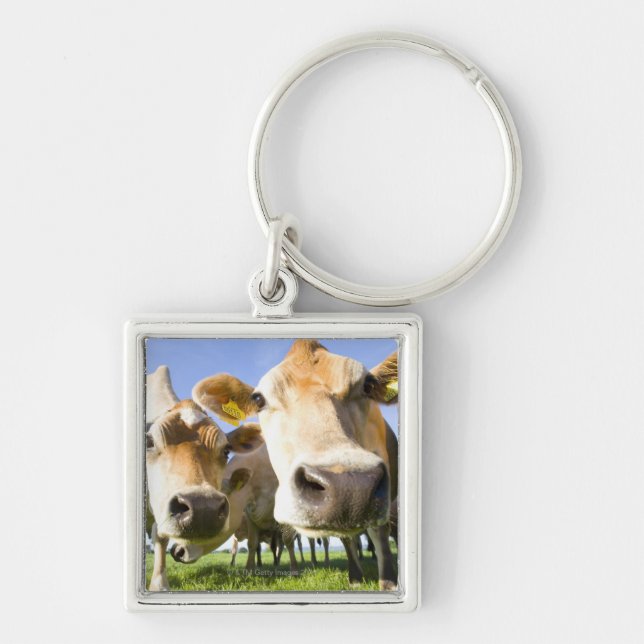 Dorset, UK Keychain (Front)