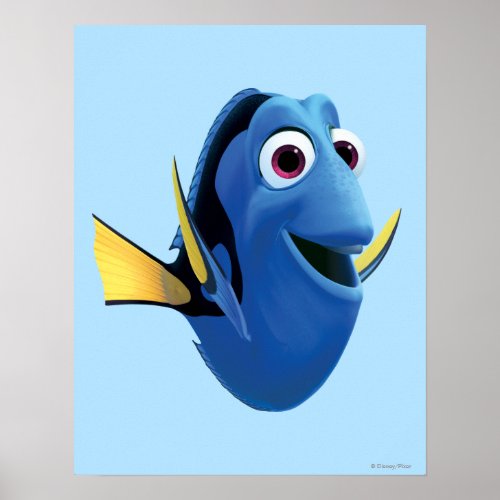 Dory 1 poster