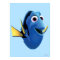 Dory 1