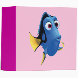 Dory 4 binder