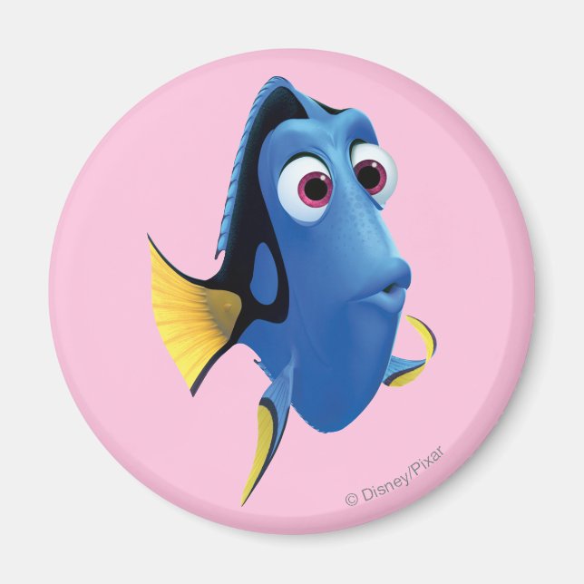 Dory 4 magnet (Front)