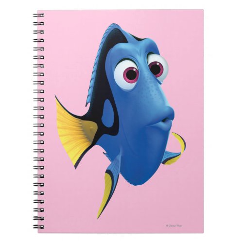 Dory 4 notebook
