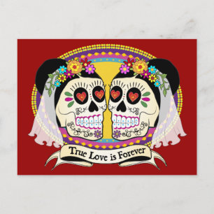 Dos Novias (2 Brides) Postcard