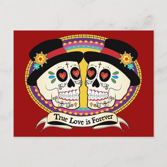 Dos Novios (2 Grooms) Postcard (Front)