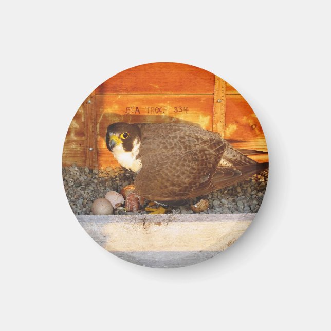 Dot.ca and Orion Magnet (Front)