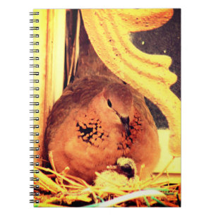 Doting Mama Dove Notebook