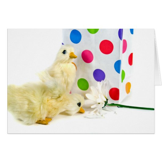 Dots, Ducks and Daisy Cards (Front Horizontal)