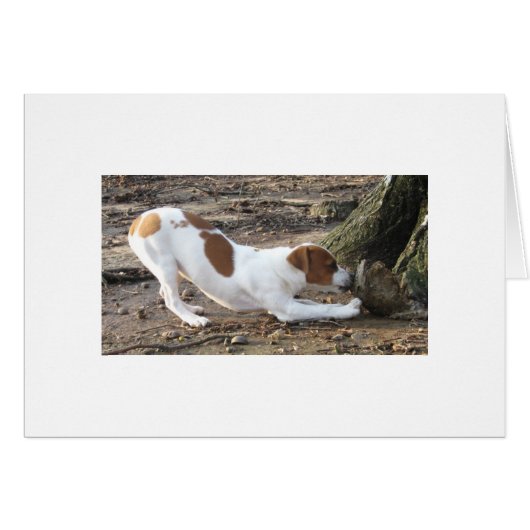 Dottie At Play Cards (Front Horizontal)