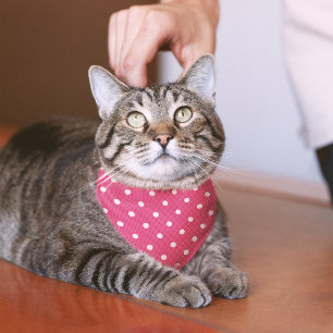 Dotty Delight Red Bandana