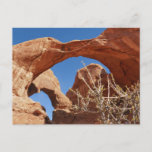 Double Arch at Arches National Park Postcard