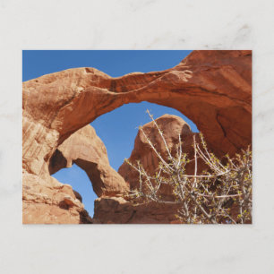 Double Arch at Arches National Park Postcard