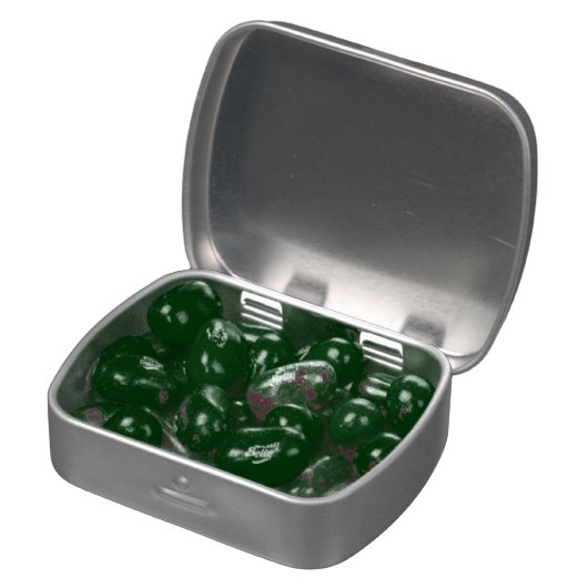 Double Arch Desert Landscape Photo Jelly Belly Candy Tin (Opened)