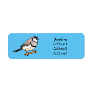 Double-barred finch bird cartoon illustration label