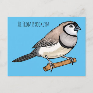 Double-barred finch bird cartoon illustration postcard